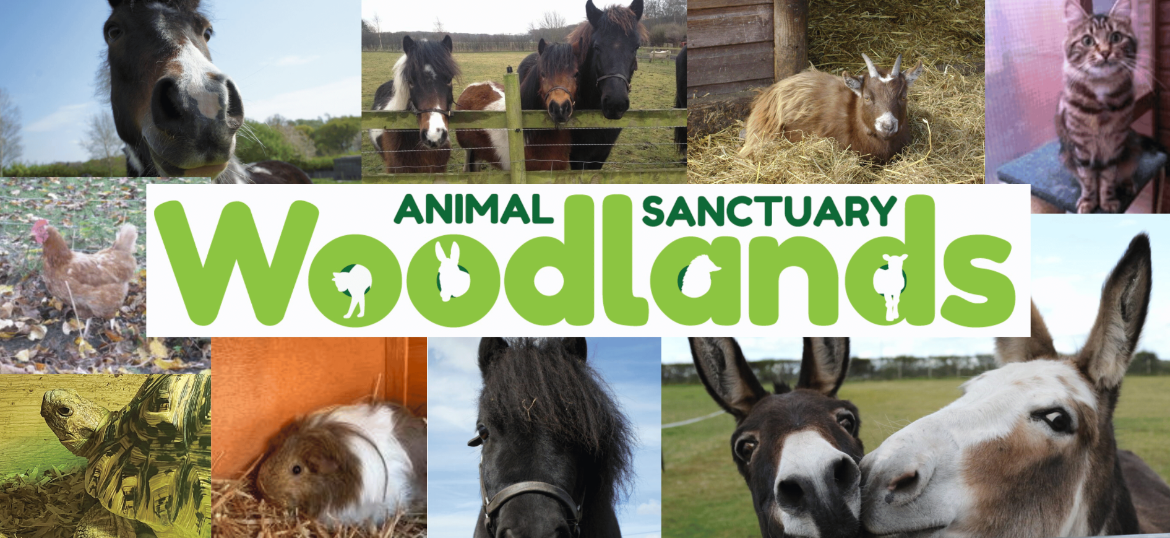 Woodlands Animal Sanctuary